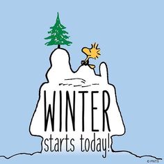2019-12-21 Winter Starts here.jpg